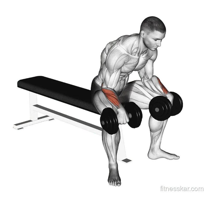 Dumbbell Reverse Wrist Curl