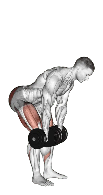 Dumbbell Romanian Deadlift