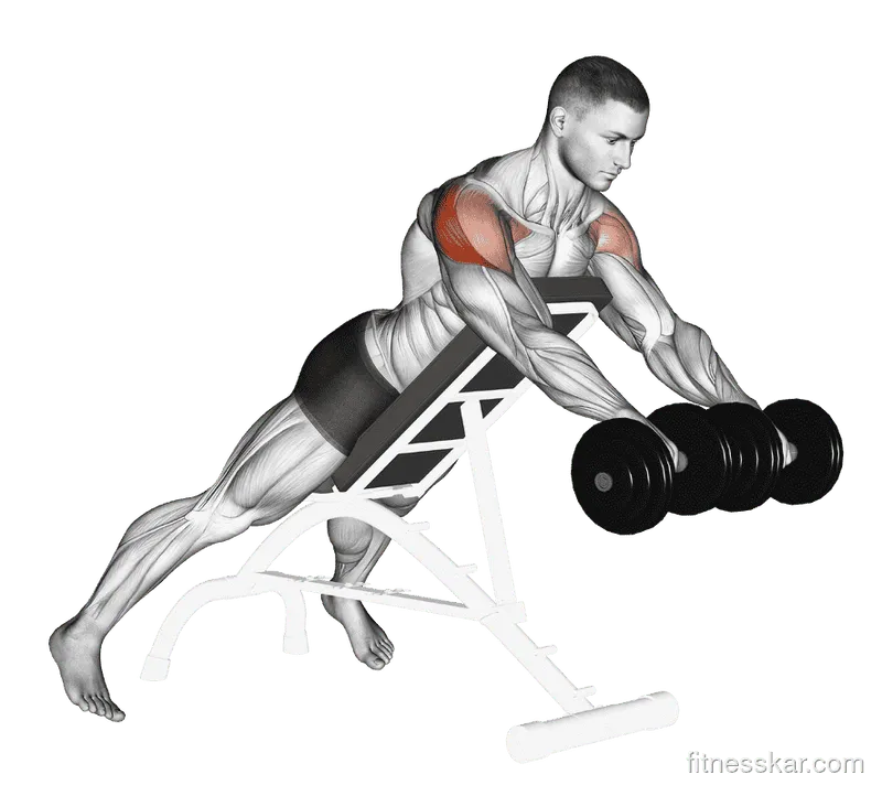 Dumbbell Rotation Reverse Fly, Male demonstration, Start