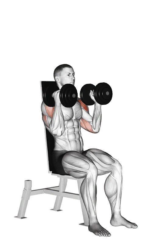 Dumbbell Seated Alternate Press