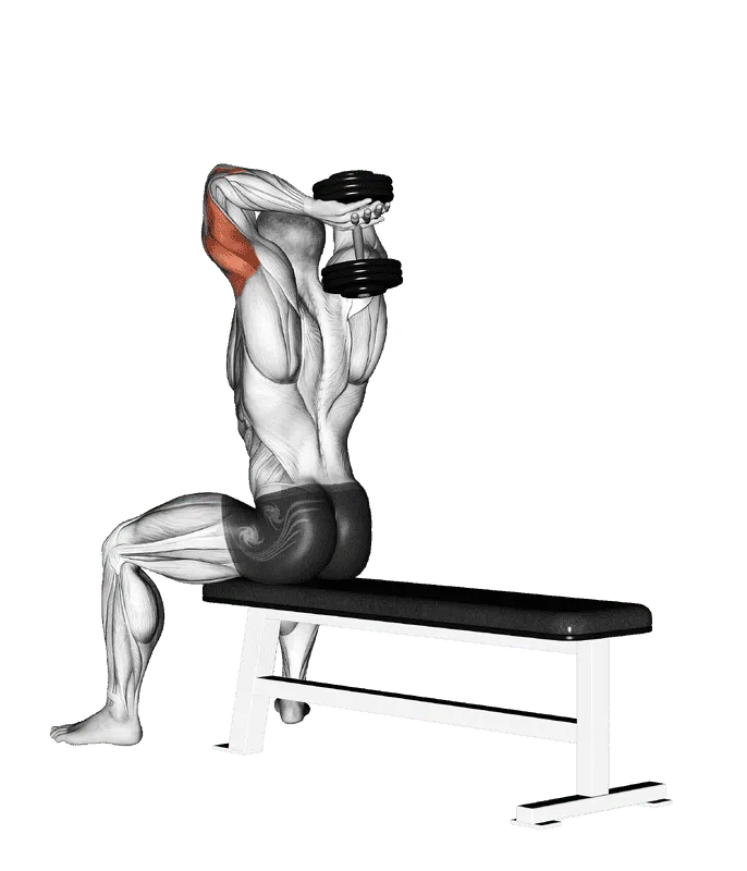 Dumbbell Seated Bench Extension, Male demonstration, Start