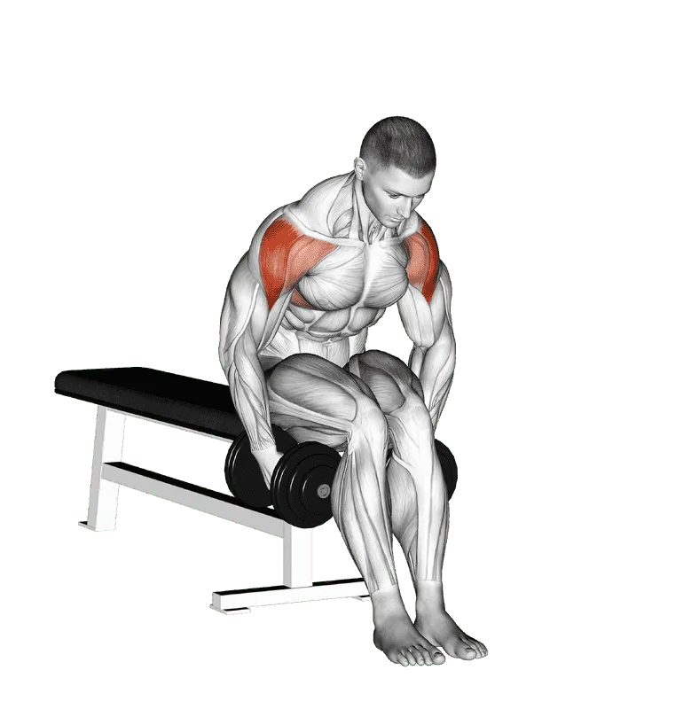 Dumbbell Seated Bent-Arm Lateral Raise, Male demonstration, Start