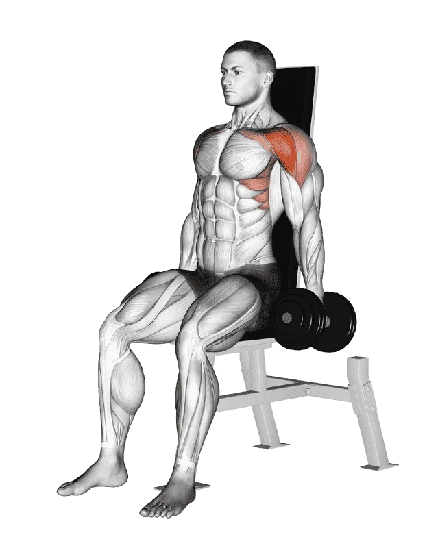 Dumbbell Seated Front Raise, Male demonstration, Start