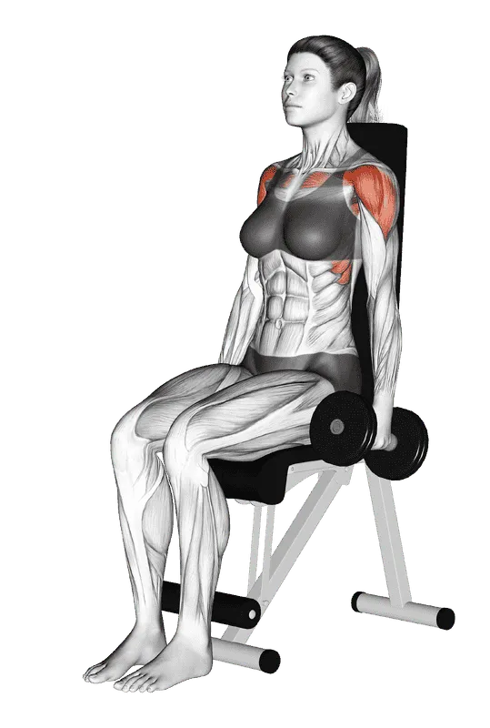 Dumbbell Seated Front Raise, Female demonstration, Start