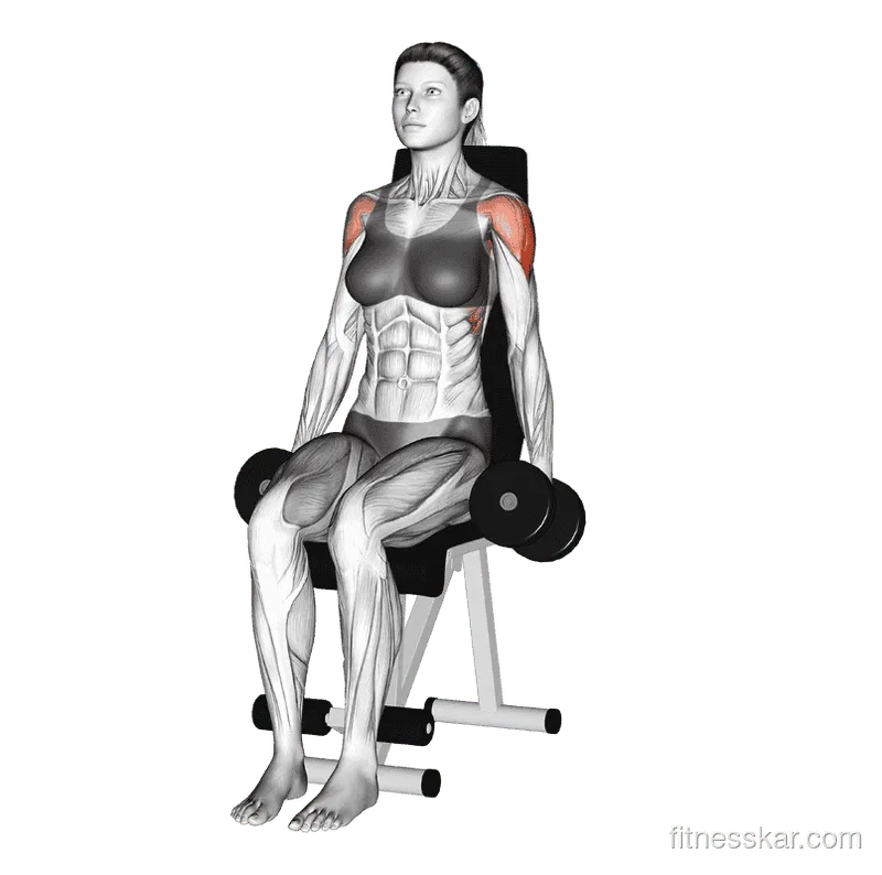 Dumbbell Seated Lateral Raise, Female demonstration, Start
