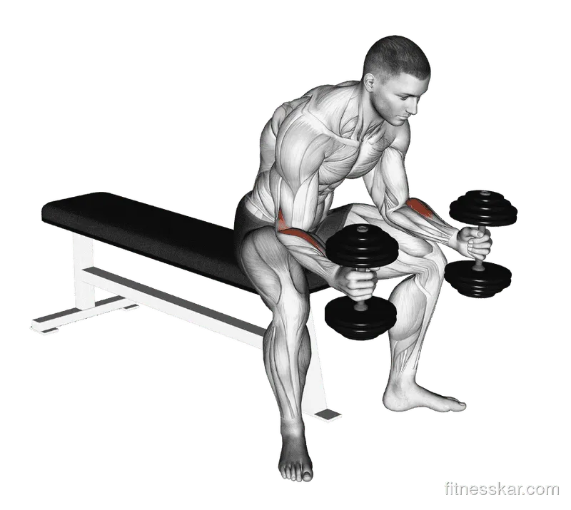 Dumbbell Seated Neutral Wrist Curl