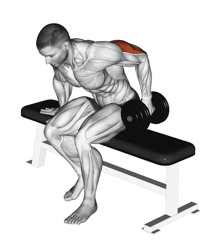Dumbbell Seated One-Arm Kickback