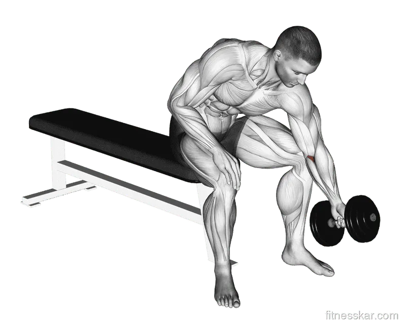 Dumbbell Seated One-Arm Rotate