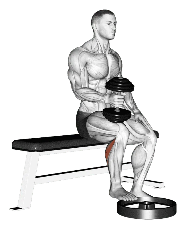 Dumbbell Seated One-Leg Calf Raise - Hammer Grip