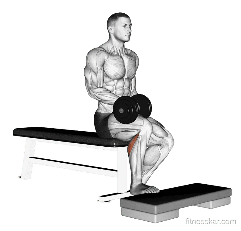 Dumbbell Seated One-Leg Calf Raise