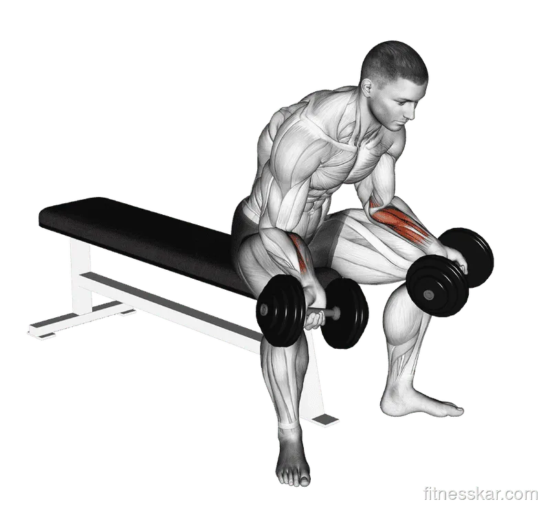Dumbbell Seated Palms-Up Wrist Curl
