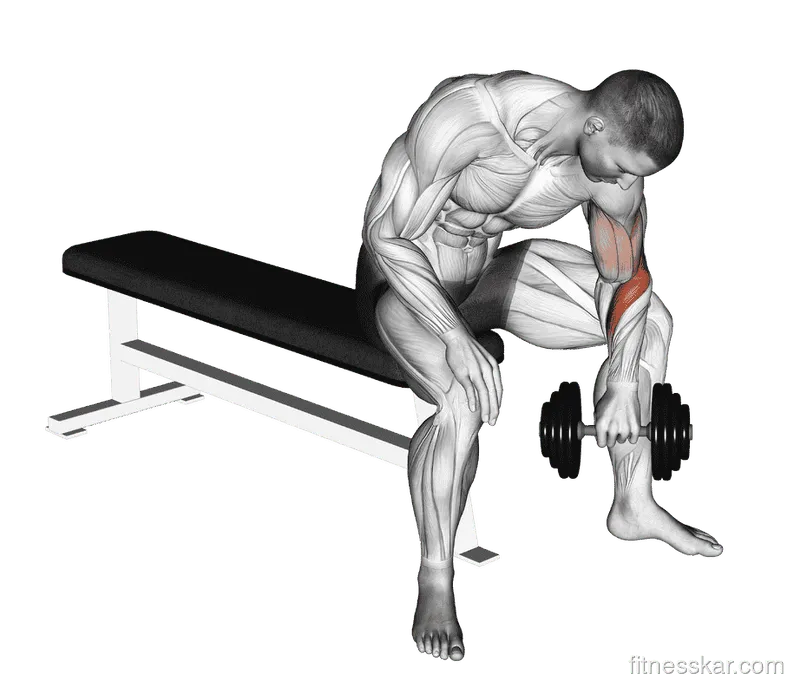 Dumbbell Seated Reverse-Grip Concentration Curl, Male demonstration, Start