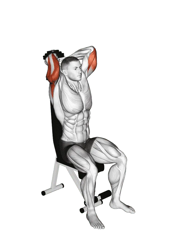 Dumbbell Seated Triceps Extension