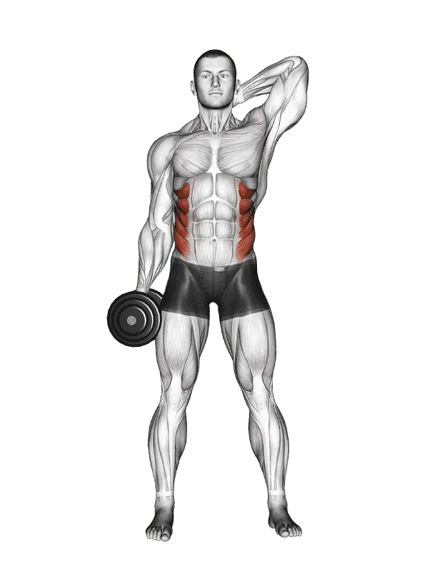 Dumbbell Side Bend