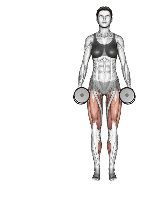 Dumbbell Side Lunge
