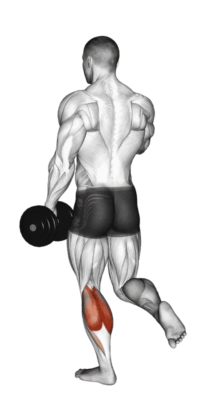 Dumbbell Single-Leg Calf Raise