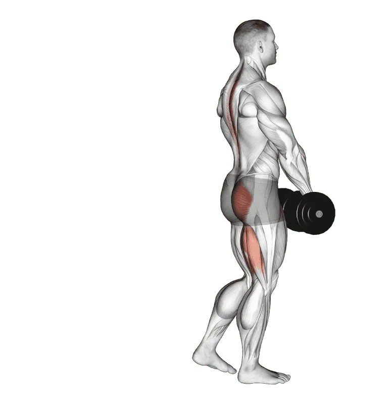 Dumbbell Single-Leg Deadlift