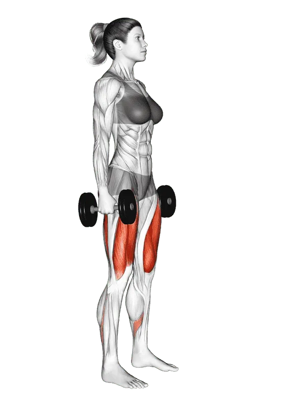 Dumbbell Squat, Female demonstration, Start