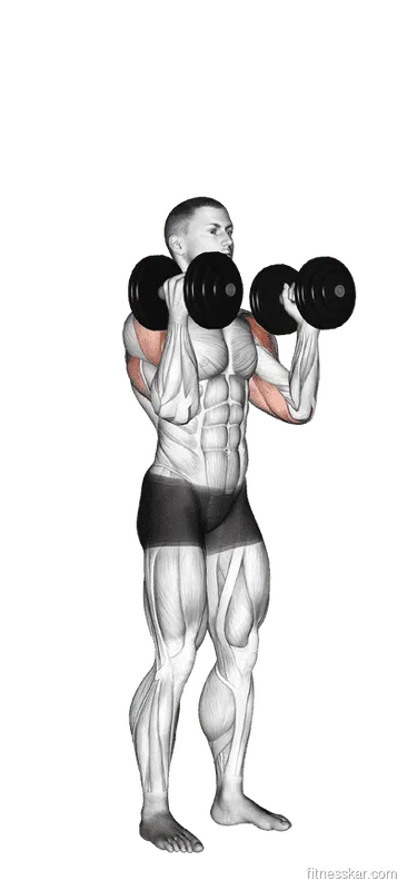 Dumbbell Standing Alternate Overhead Press