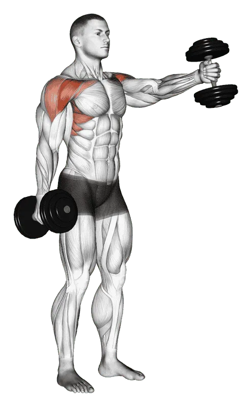 Dumbbell Standing Alternate Vertical Front Raises, Male demonstration, Start
