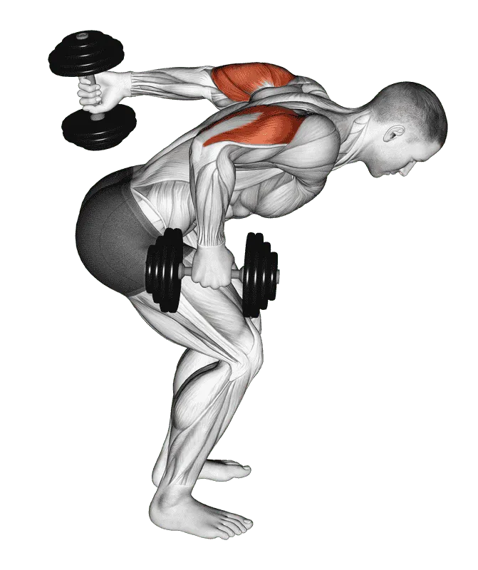 Dumbbell Standing Alternating Tricep Kickback