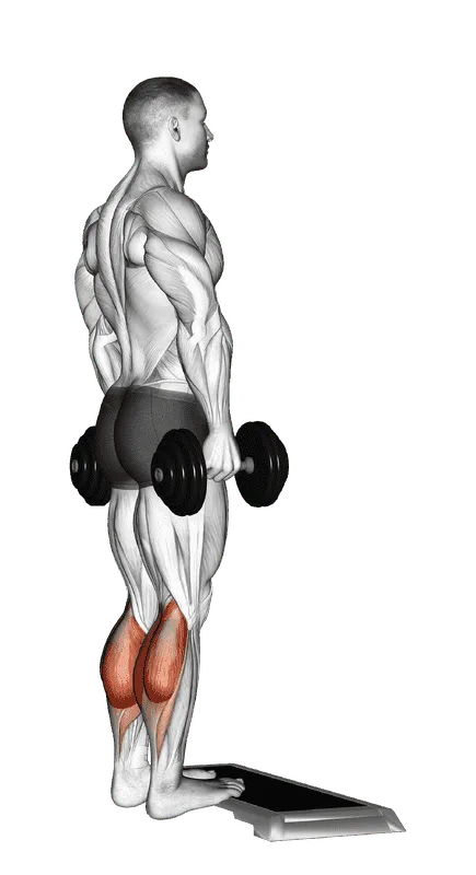 Dumbbell Standing Calf Raise