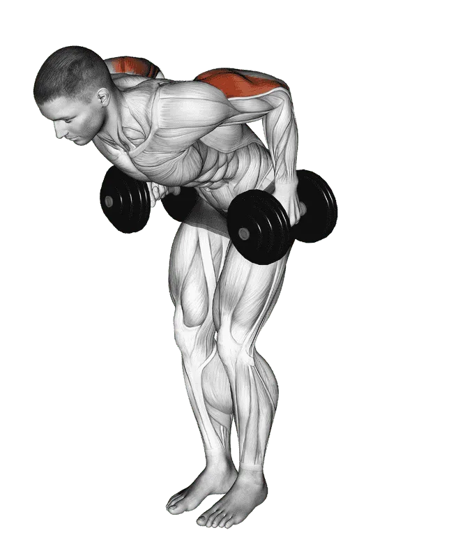 Dumbbell Standing Kickback