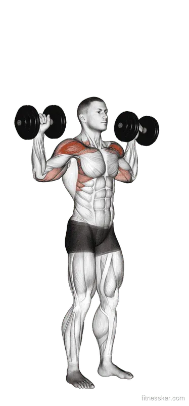 Dumbbell Standing Overhead Press