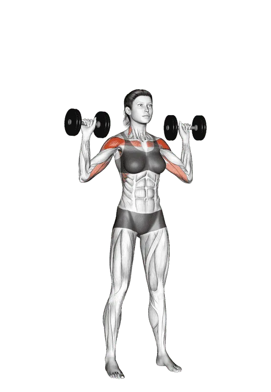 Dumbbell Standing Overhead Press, Female demonstration, Start