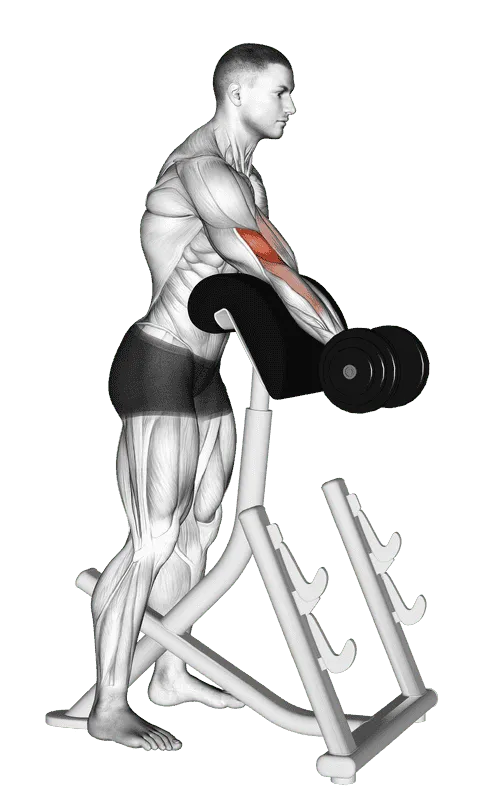 Dumbbell Standing Preacher Curl, Male demonstration, Start