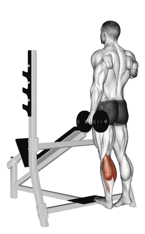 Dumbbell Standing Single-Leg Calf Raise