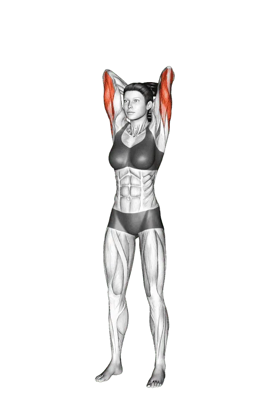 Dumbbell Standing Triceps Extension, Female demonstration, Start