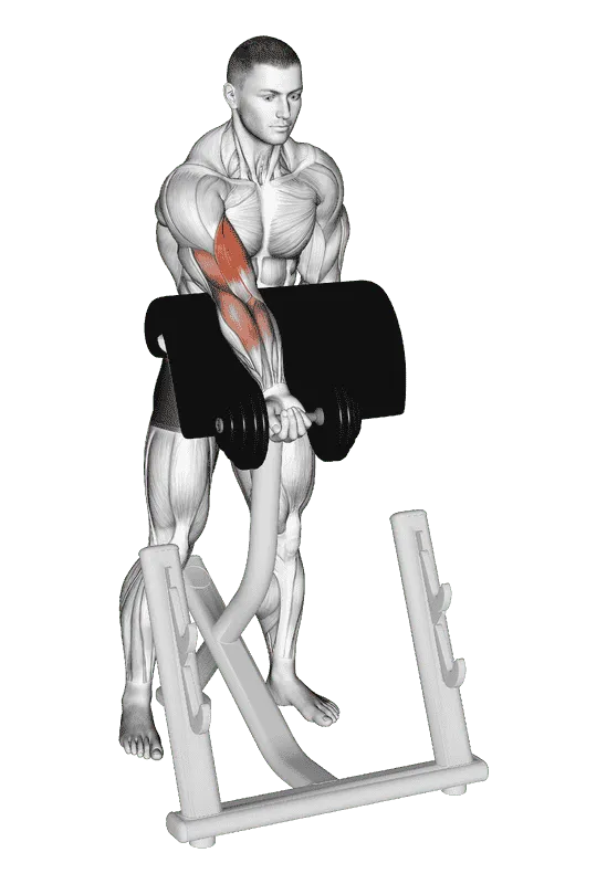 Dumbbell Standing Zottman Preacher Curl