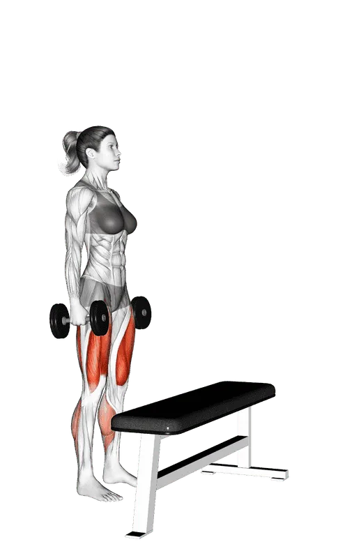 Dumbbell Step-Up, Female demonstration, Start