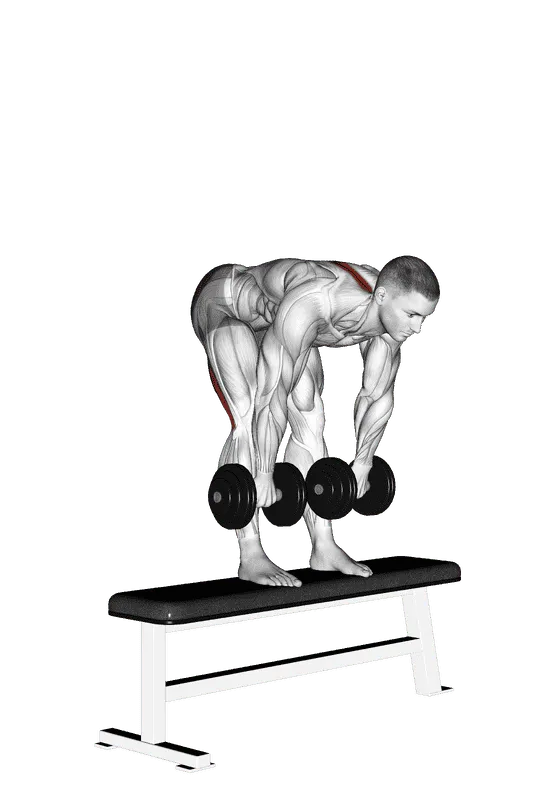 Dumbbell Stiff-Leg Deadlift on Bench