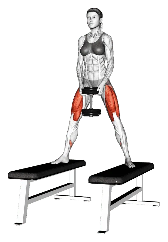 Dumbbell Sumo Squat off Benches, Female demonstration, Start