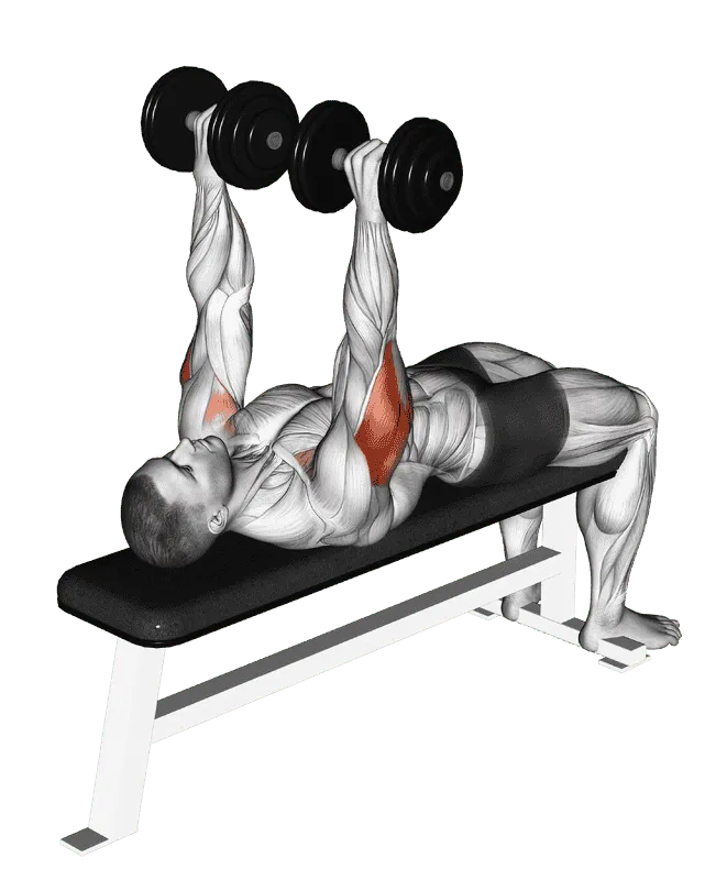 Dumbbell Tate Press, Male demonstration, Start