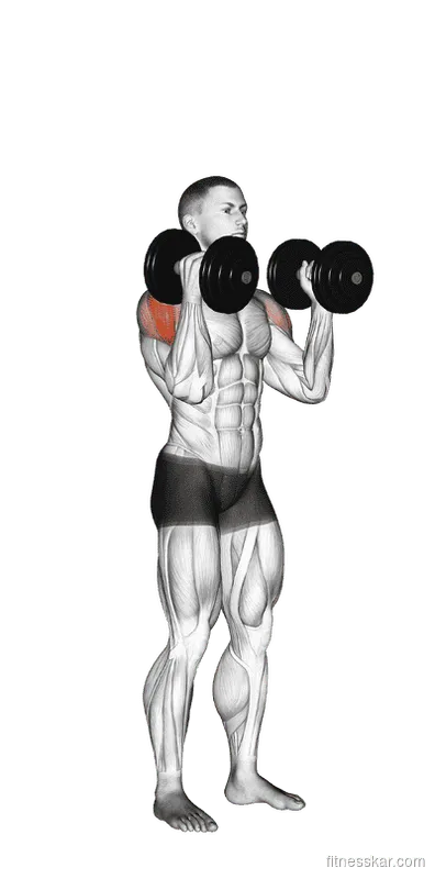 Dumbbell W-Press, Male demonstration, Start