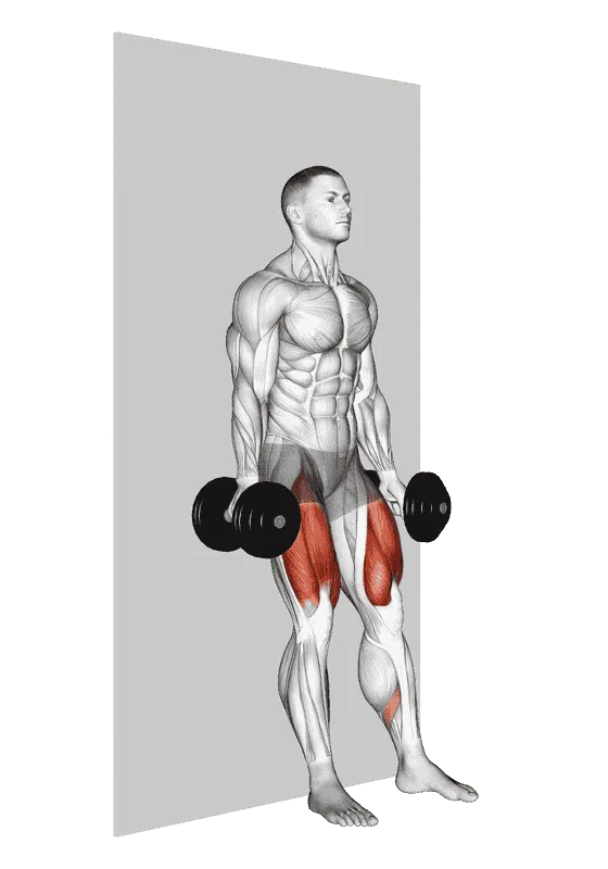Dumbbell Wall Squat, Male demonstration, Start