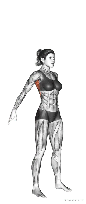 Dynamic Back Stretch, Female demonstration, Start
