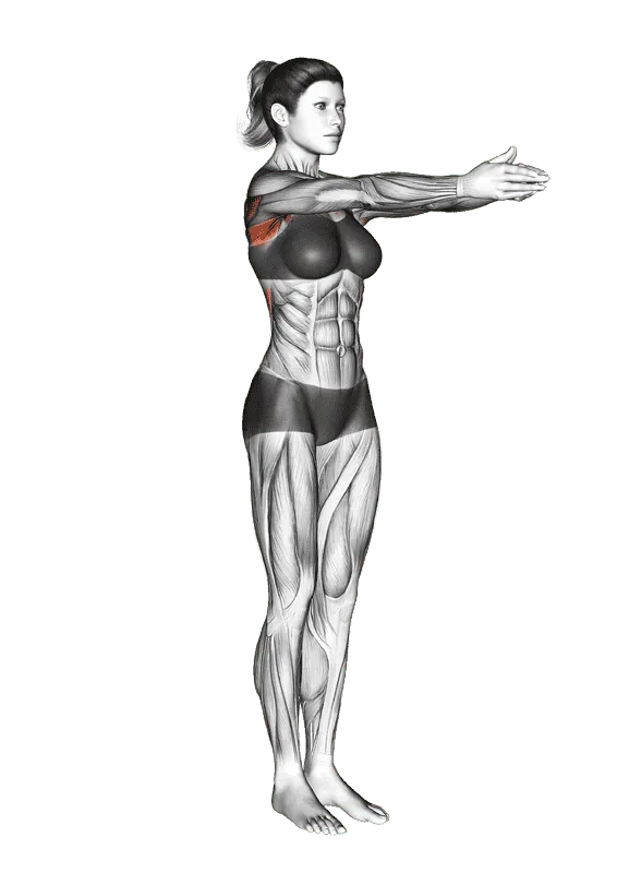 Dynamic Chest Stretch, Female demonstration, Start