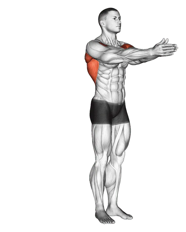 Dynamic Chest Stretch