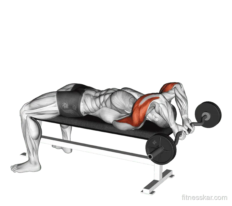 EZ-Bar Lying Close-Grip Triceps Extension Behind Head