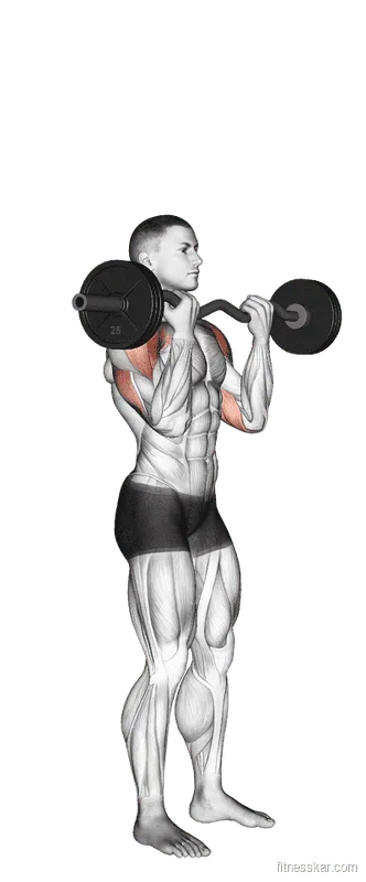 EZ-Bar Standing Overhead Press, Male demonstration, Start