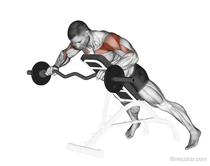 EZ Barbell Anti-Gravity Press