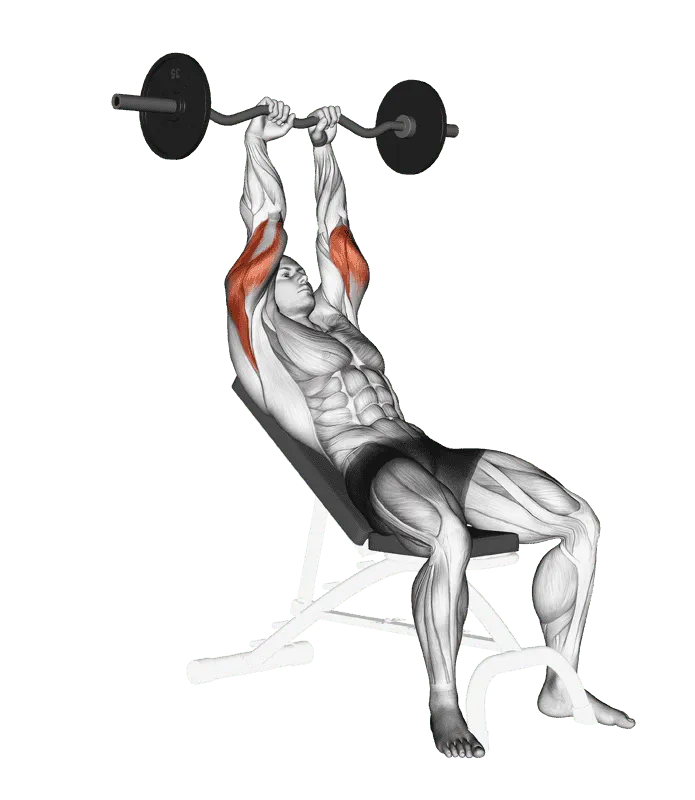 EZ Barbell Incline Triceps Extension