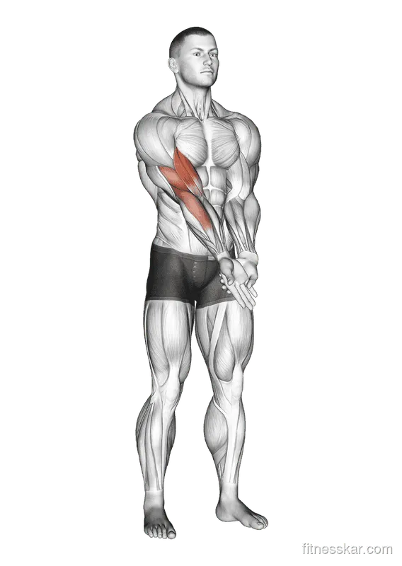 Elbow Extension and Supination/Pronation Forearm Stretch