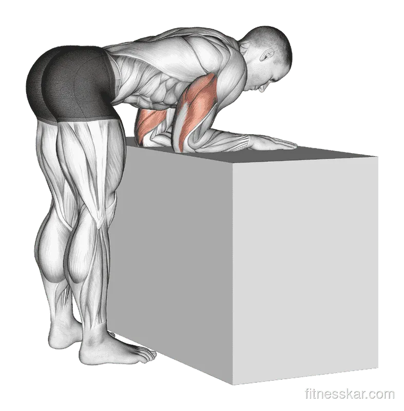 Elbow Extensor (Anconeus) Stretch, Male demonstration, Start