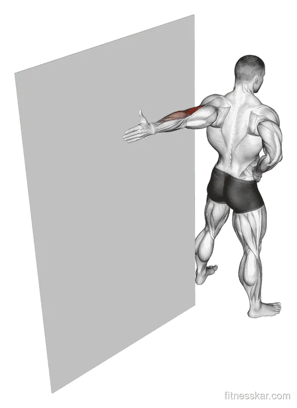 Elbow Flexor Stretch, Male demonstration, Start