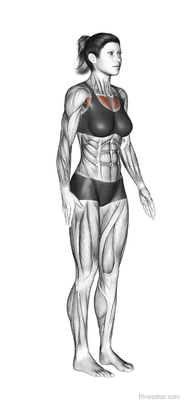 Elbows Back Stretch, Female demonstration, Start